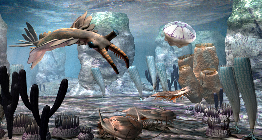 Cambrian